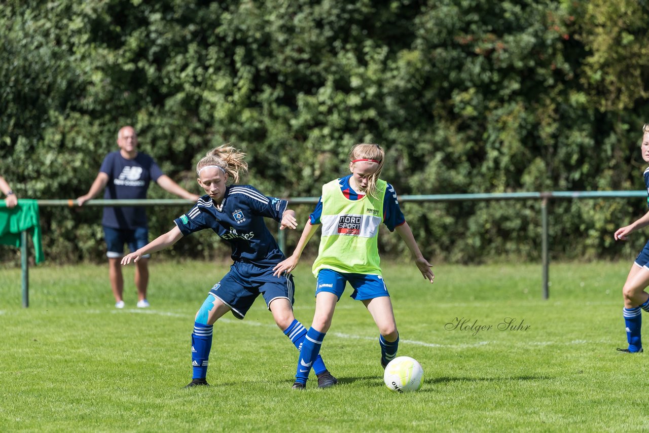 Bild 312 - B-Juniorinnen VfL Pinneberg - HSV : Ergebnis: 1:4